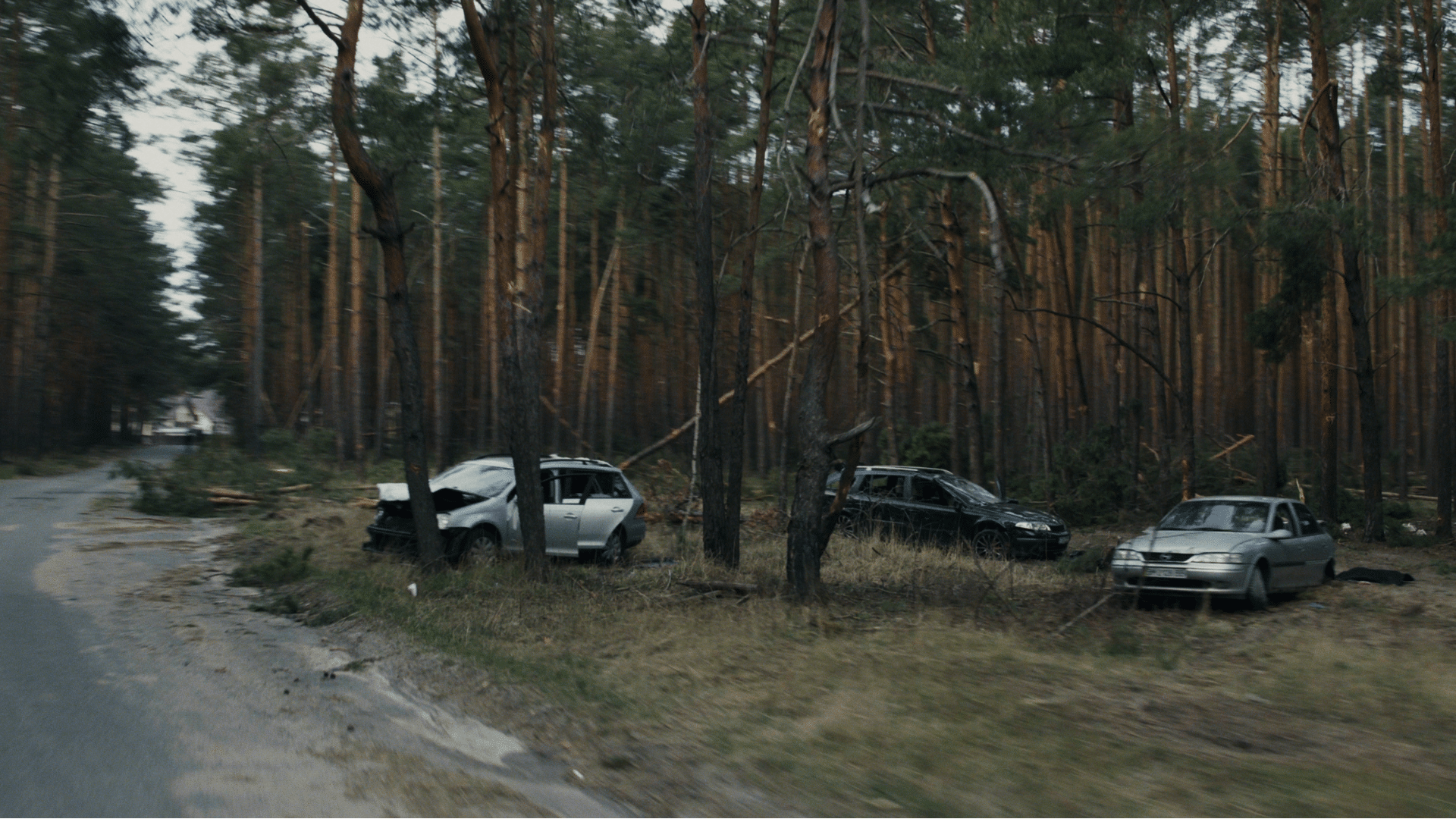 Car accident in the forest